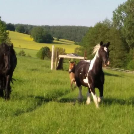 Ferienwohnung Auf Dem Resthof Aerzen Eksteriør bilde