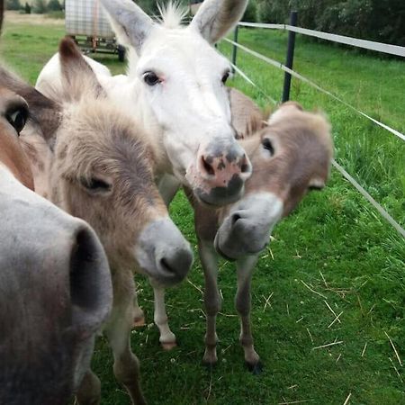 Ferienwohnung Auf Dem Resthof Aerzen Eksteriør bilde