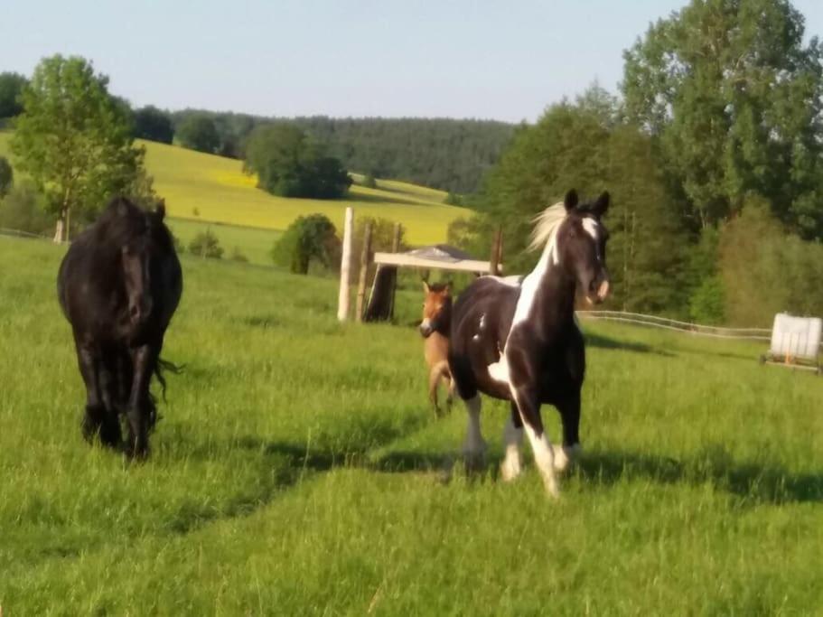 Ferienwohnung Auf Dem Resthof Aerzen Eksteriør bilde